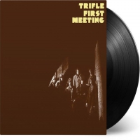 Trifle - First Meeting vinyl cover