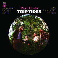 Triptides - Past Lives vinyl cover