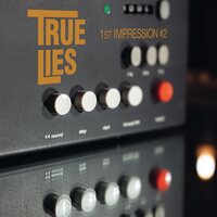 True Lies - 1st Impression No 2 vinyl cover