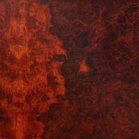 True Widow - Avvolgere vinyl cover