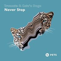 Truncate  &  Catz'n Dogz - Never Stop vinyl cover