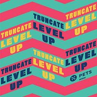 Truncate - Level Up vinyl cover