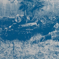 Trupa Trupa - Headache vinyl cover