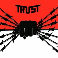 Trust - Ideal vinyl cover