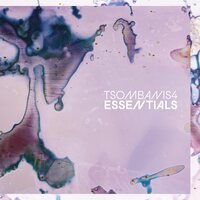 TSOMBANIS4 - Essentials vinyl cover