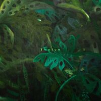 Tunico - Tunico vinyl cover
