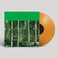 Tuohi Klang - Pennselmann Hits Vol. 2765 vinyl cover