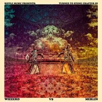 Turned To Stone - Chapter III: Wizzerd Vs Merlin vinyl cover