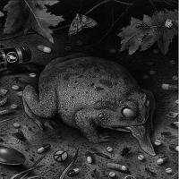 Tusmorke - Fort Bak Lyset vinyl cover