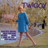 Twiggy - Beautiful Dreams vinyl cover