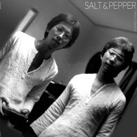 Twin Cosmos - Salt & Pepper vinyl cover