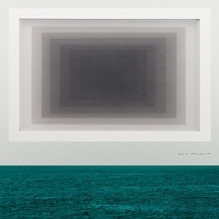 Twin Limb - Haplo vinyl cover