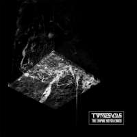 Twinesuns - Empire Never Ended vinyl cover