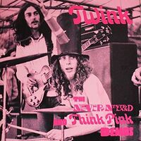 Twink Think Pink - Never Never Land vinyl cover