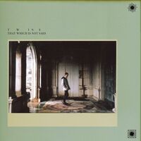 Twins - That Which Is Not Said vinyl cover