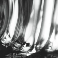 Ty Segall - Chrome vinyl cover