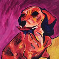 Ty Segall - Fanny vinyl cover