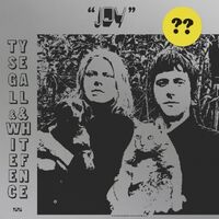 Ty Segall - Joy vinyl cover