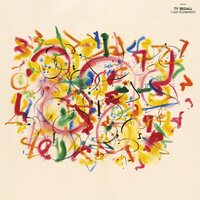 Ty Segall - Love Rudiments vinyl cover