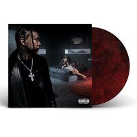 Tyga - Nsfw vinyl cover