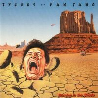 Tygers of Pan Tang - Burning In The Shade - 3Mm Spinned Sleeve vinyl cover