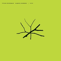 Tyler / Rohrer,samuel Friedman - Yyy vinyl cover