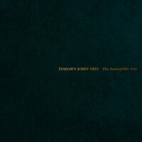 Tyshawn Sorey Trio - The Susceptible Now vinyl cover