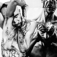 UF - Unknown Fate (White) vinyl cover