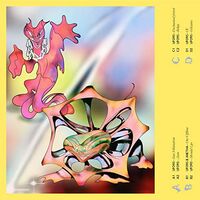 Ufo95 - Popularity Is Overrated vinyl cover
