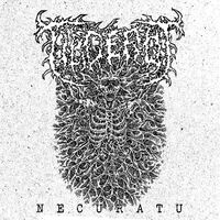 Ulcerot - Necuratu vinyl cover
