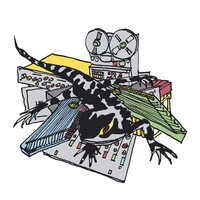 Ulrich Troyer - Transit Tribe vinyl cover