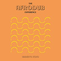 Umberto Echo - Afrodub Experience vinyl cover
