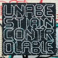 Una Bestia Incontrol - Metamorfosi vinyl cover