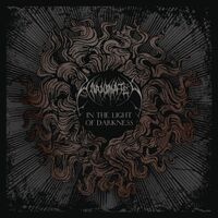 Unanimated - In The Light Of Darkness vinyl cover