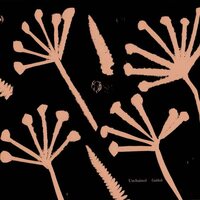 Unchained - Gabbeh vinyl cover