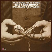 Underdogs - Wasting Our Time vinyl cover