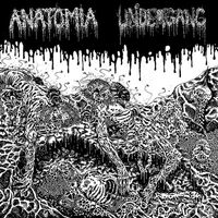 Undergang / Anatomia - Split