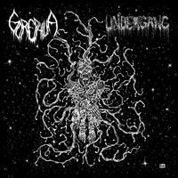 Undergang / Gorephilia - Split 7 vinyl cover