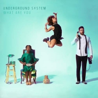 Underground System - What Are You vinyl cover