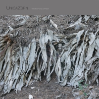 Unicazurn - Transpandorem vinyl cover