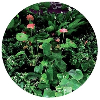 Universo - Underworld vinyl cover