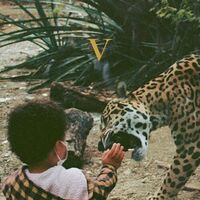 Unknown Mortal Orche - V - Golden Nugget vinyl cover