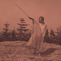 Unknown Mortal Orchestra - Ii (10 Year Anniversary) vinyl cover
