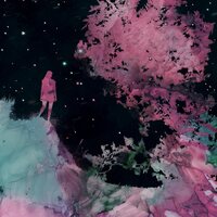 Unreqvited - Mosaic I: L'amour Et L'ardeur vinyl cover