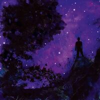 Unreqvited - Mosaic II: La Deteste Et La Detresse vinyl cover