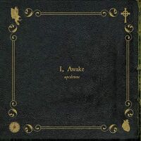 Upcdownc - I Awake vinyl cover