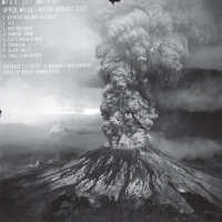 Upper Wilds - Guitar Module 2017 vinyl cover