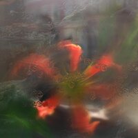 Upsammy - Germ in a Population of Buildings vinyl cover