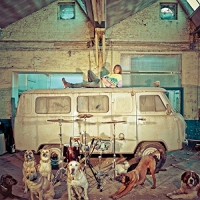 Use - Chien D'la Casse vinyl cover