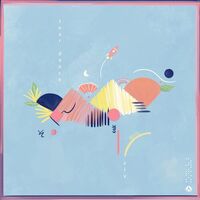 V I V - Tear Dance vinyl cover
